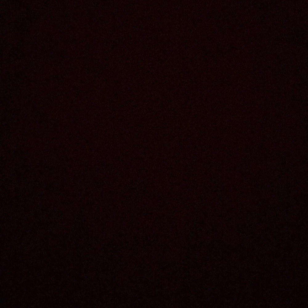 Meet your Posher, Molly